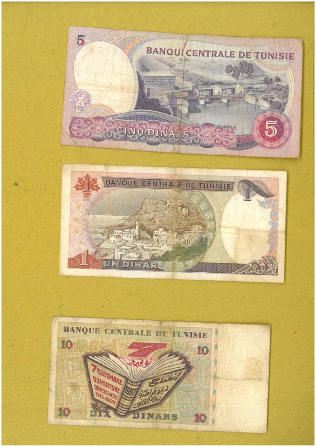 Immagine aggiuntiva 5