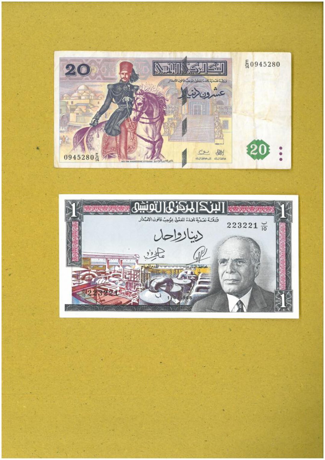 Immagine aggiuntiva 6