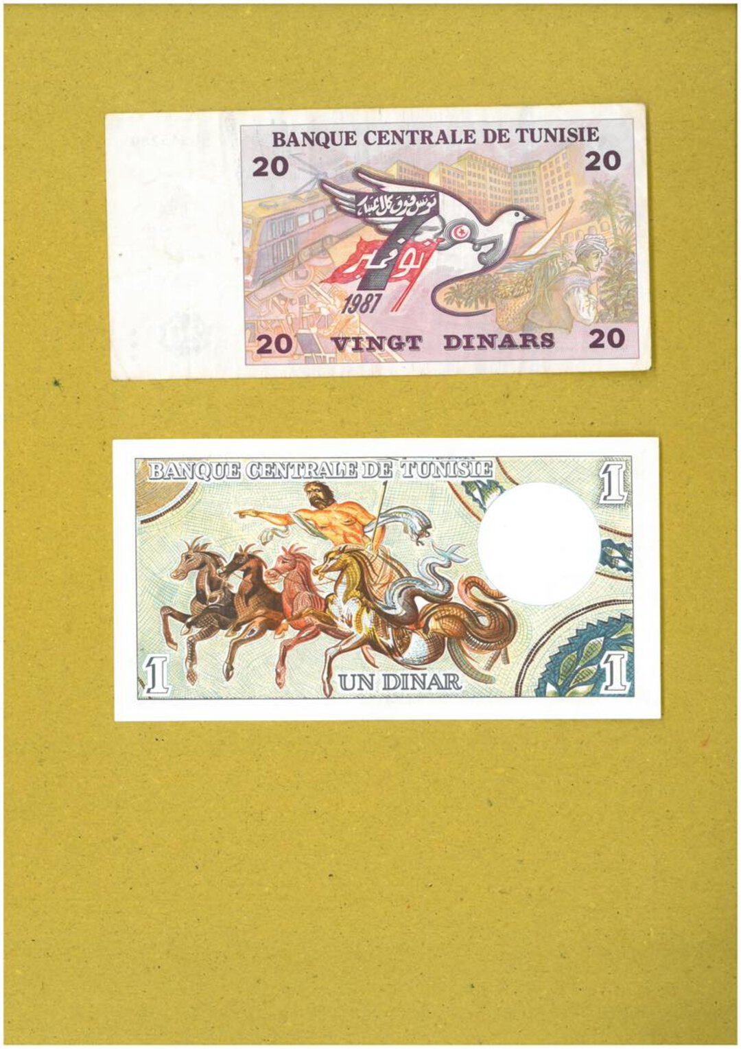 Immagine aggiuntiva 7