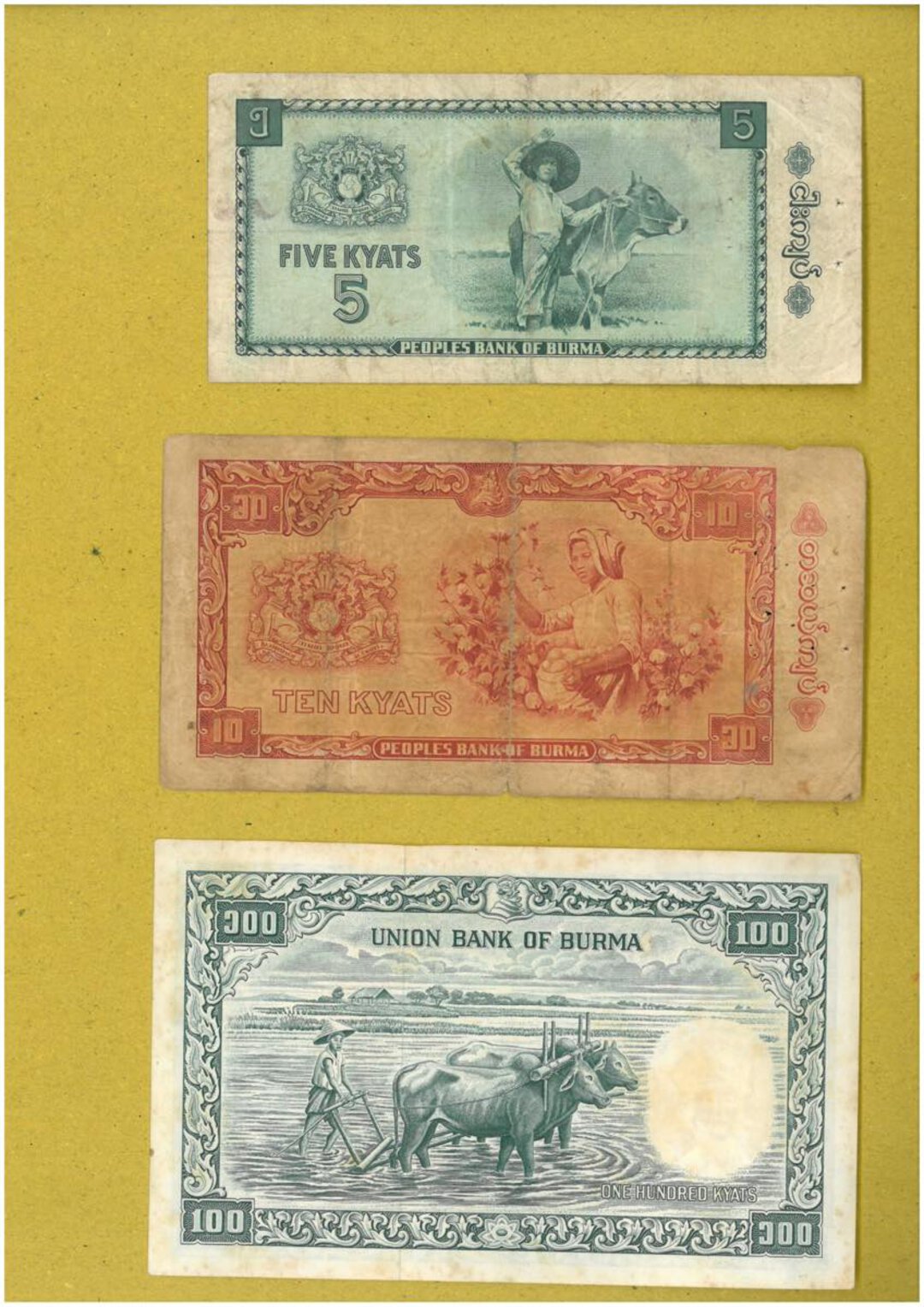 Immagine aggiuntiva 1