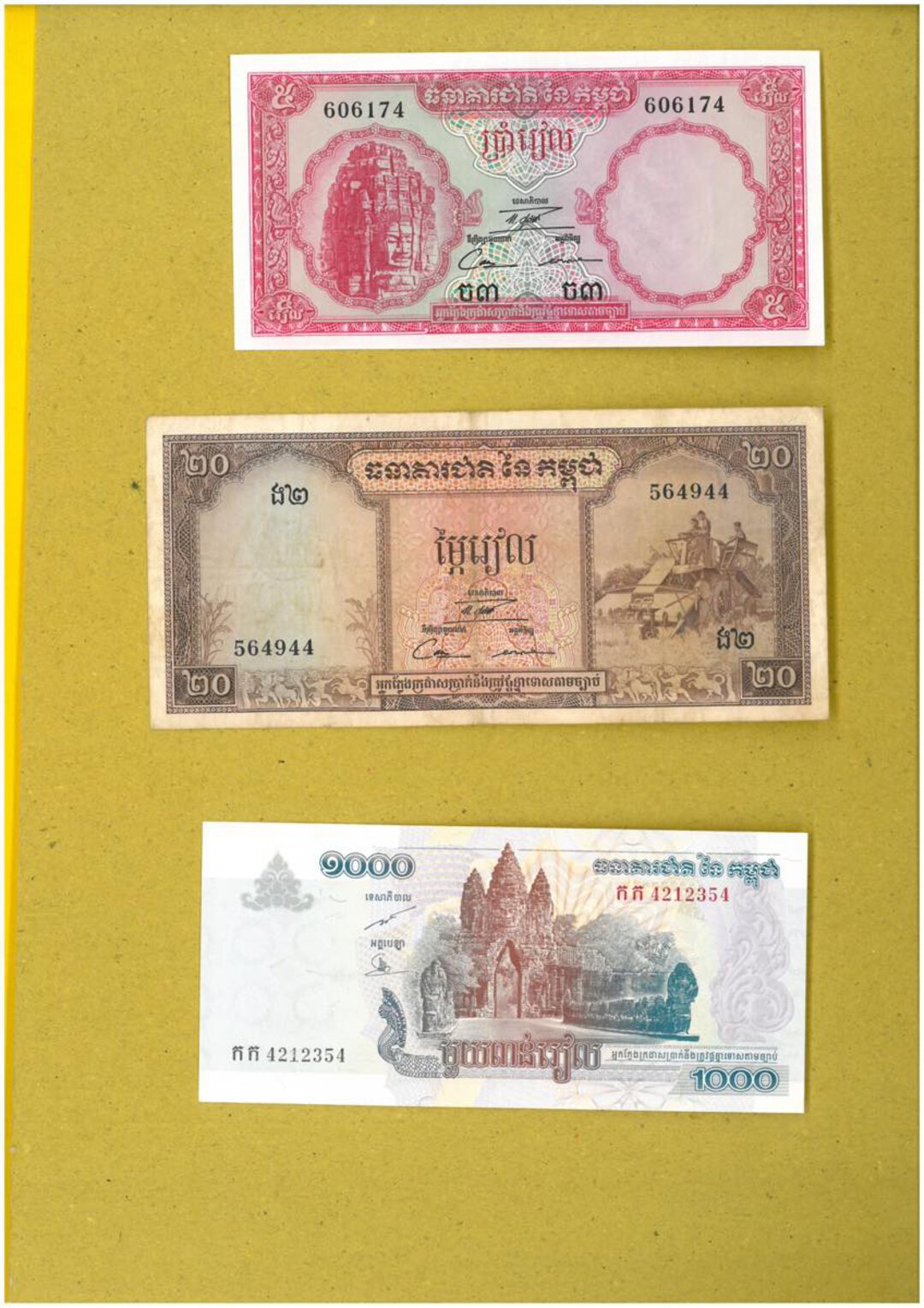 Immagine aggiuntiva 8