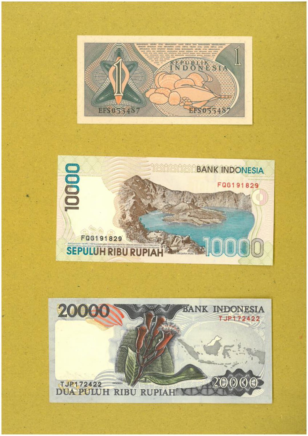 Immagine aggiuntiva 2