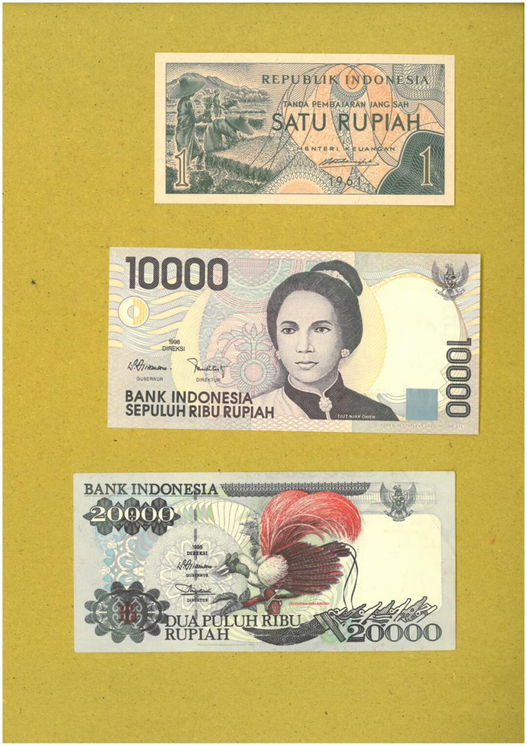 Immagine aggiuntiva 3