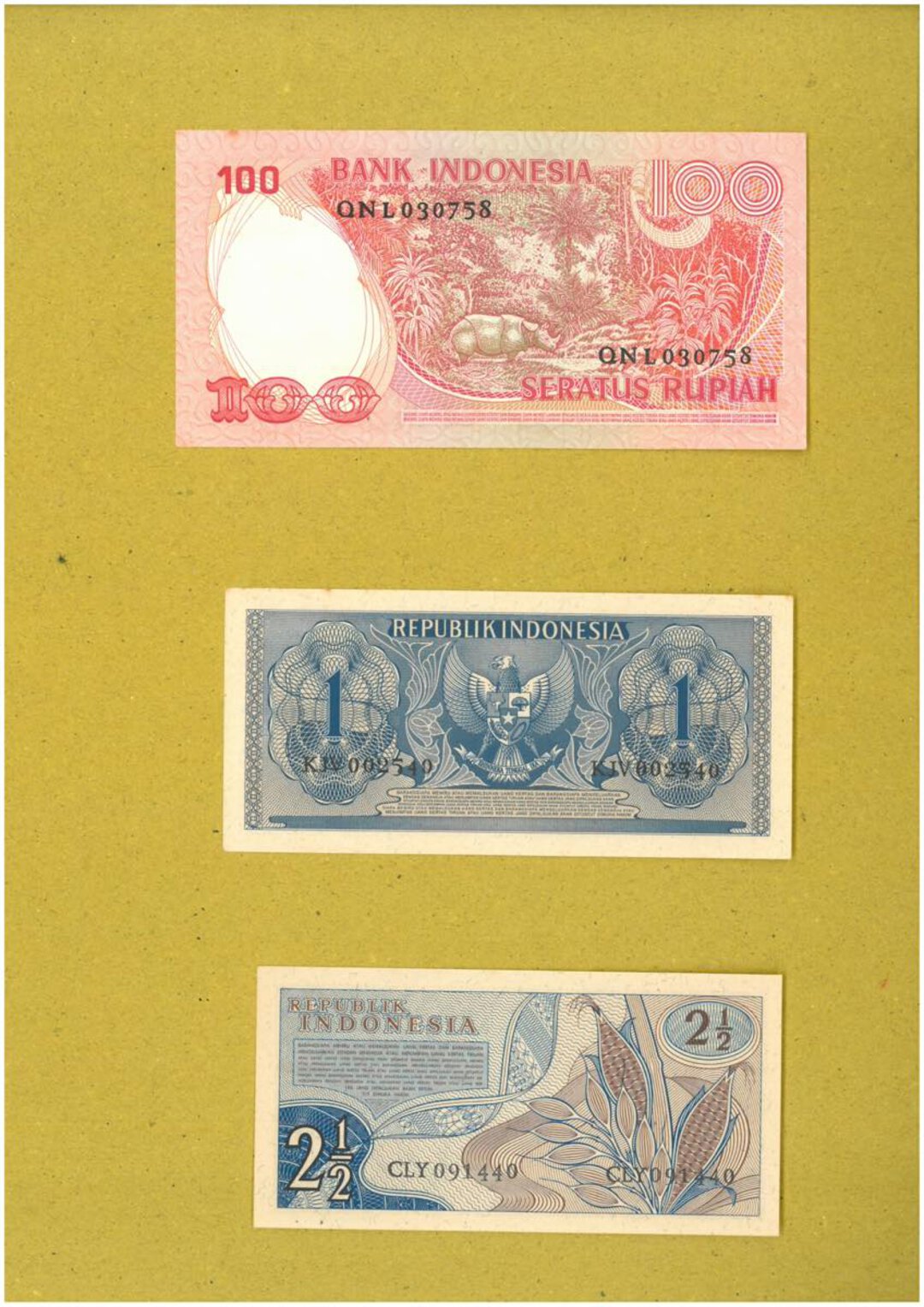 Immagine aggiuntiva 4