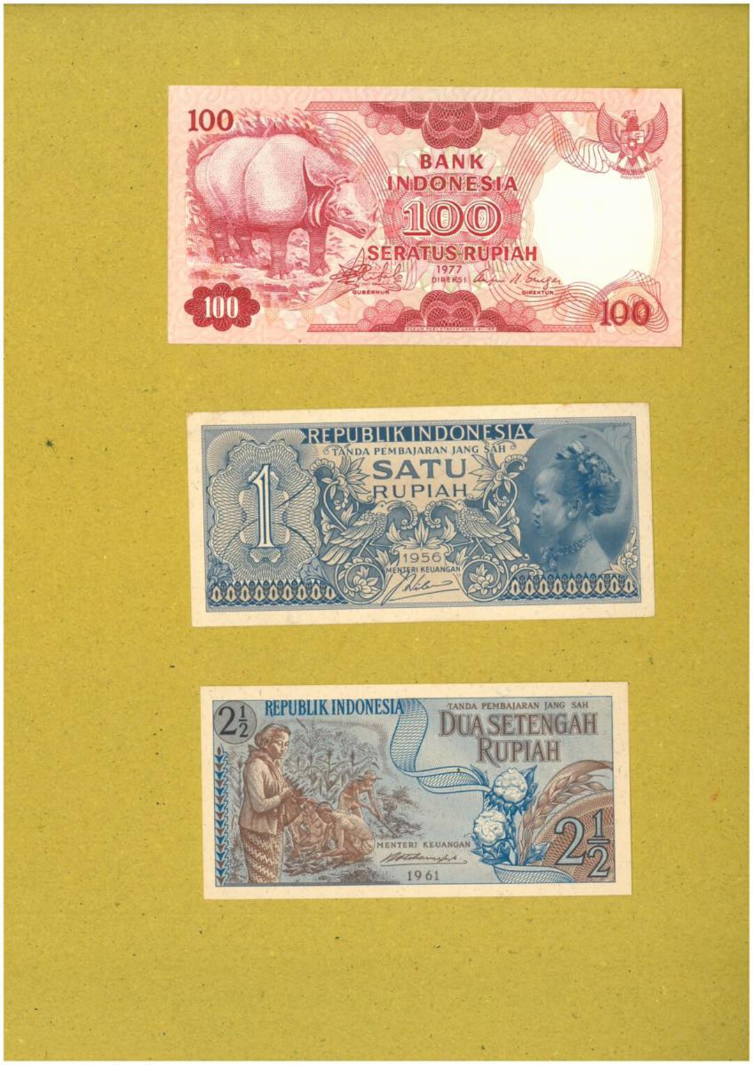 Immagine aggiuntiva 5