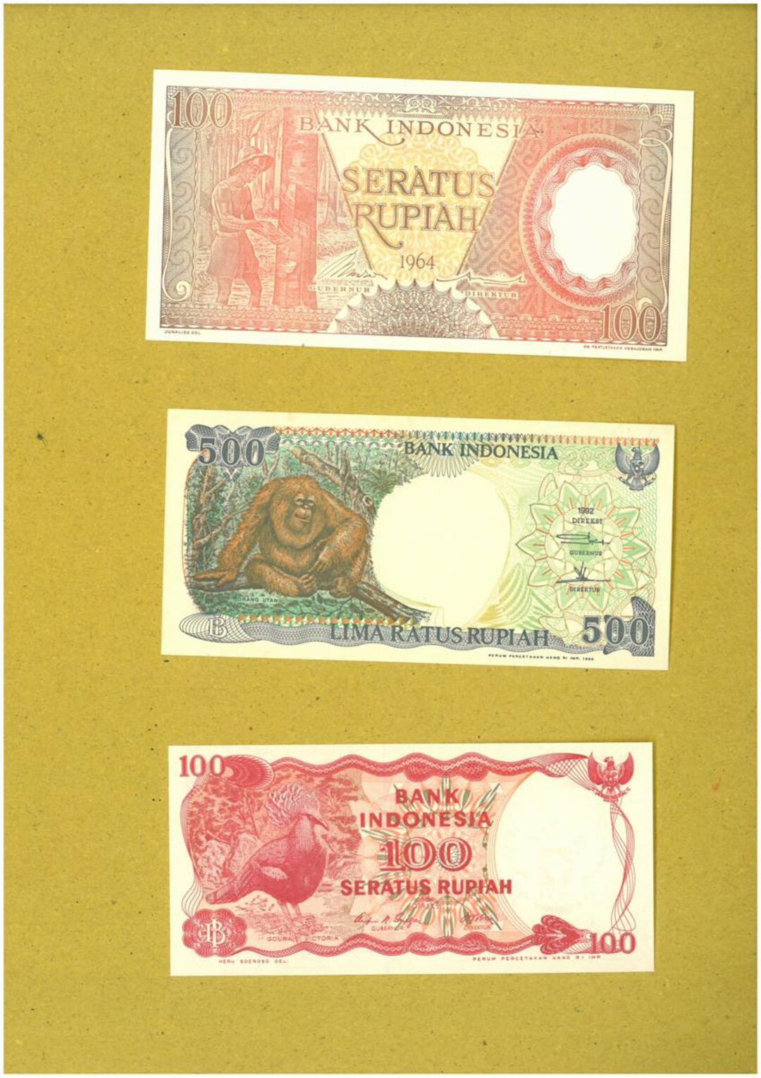 Immagine aggiuntiva 7