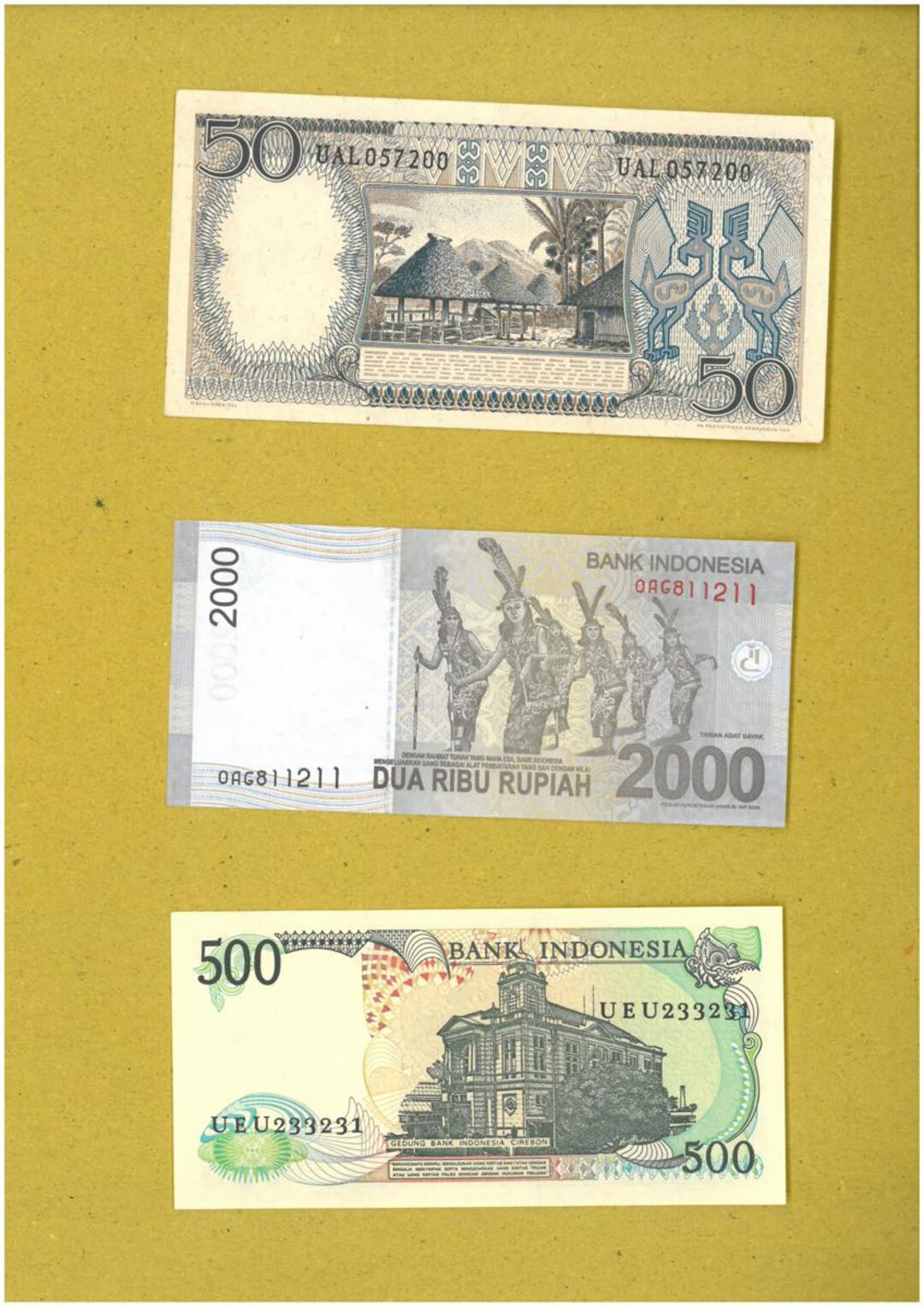 Immagine aggiuntiva 8