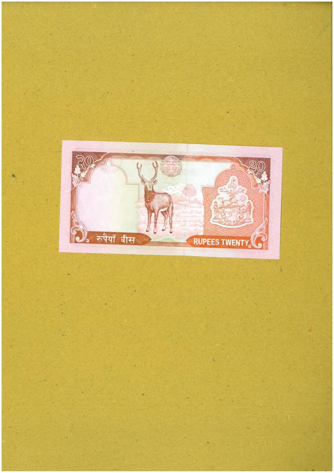 Immagine aggiuntiva 4