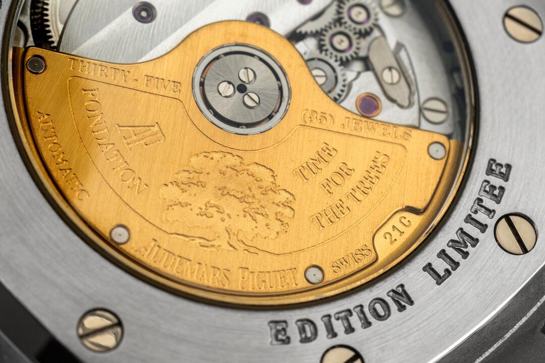 Immagine aggiuntiva 1