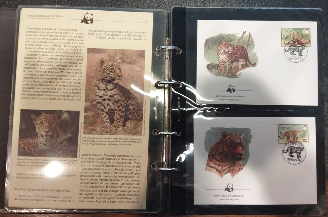 Immagine aggiuntiva 1