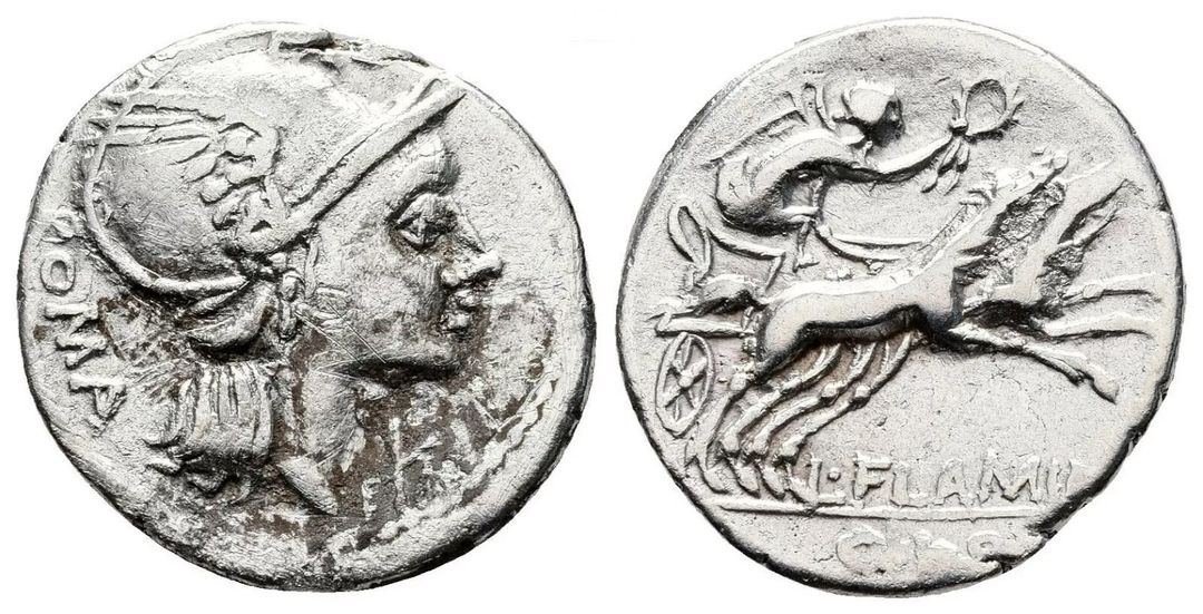 Immagine aggiuntiva 2