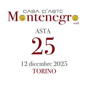 Banner Montenegro 25