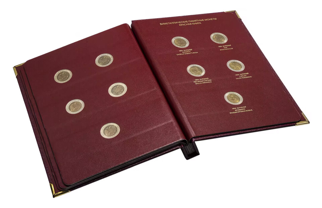 Immagine aggiuntiva 2