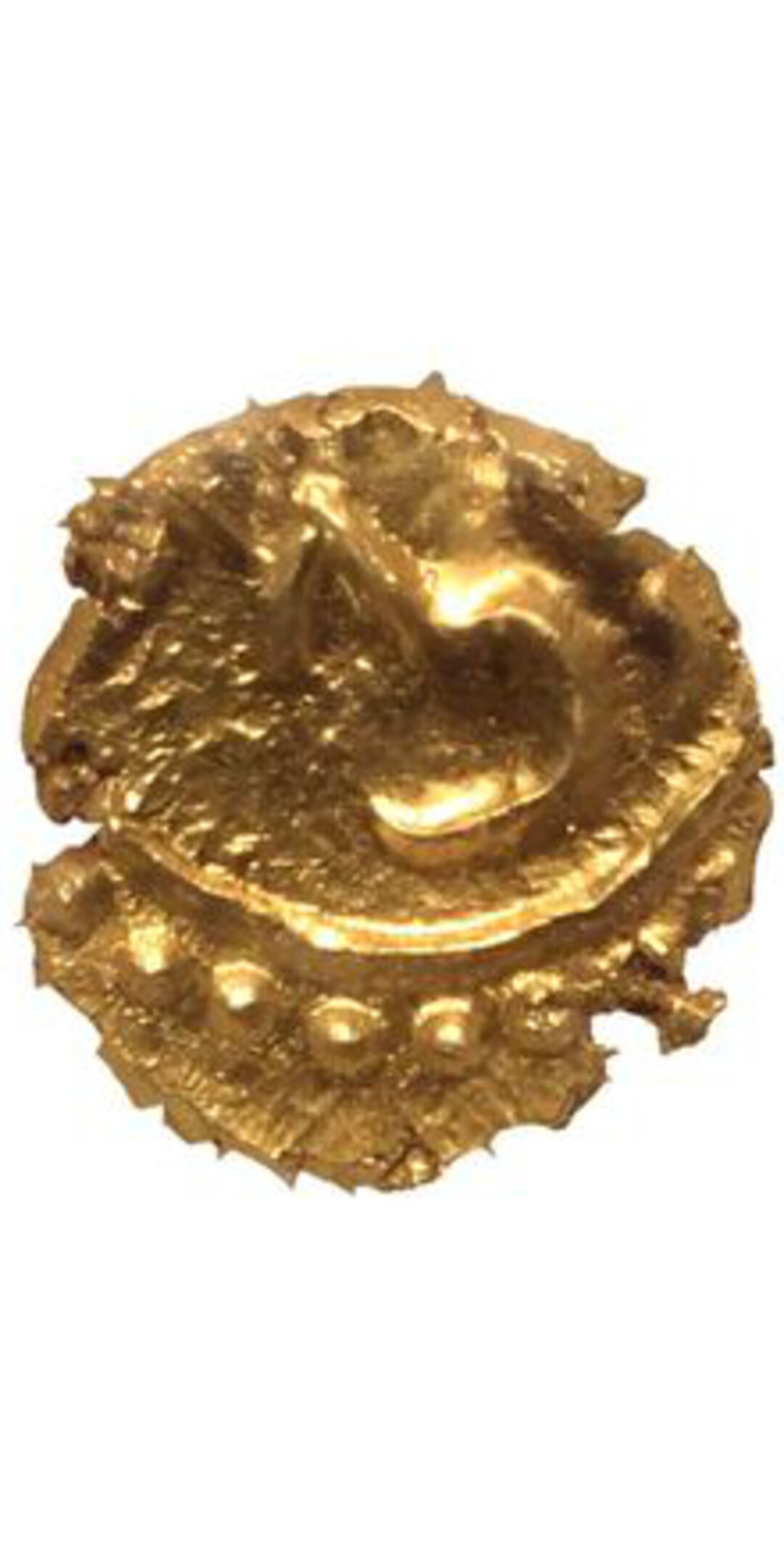 Immagine aggiuntiva 2