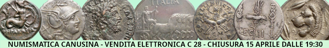 Banner Canusina Asta C 28