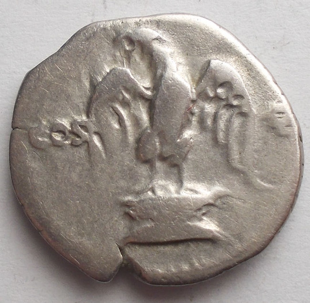 Immagine aggiuntiva 2