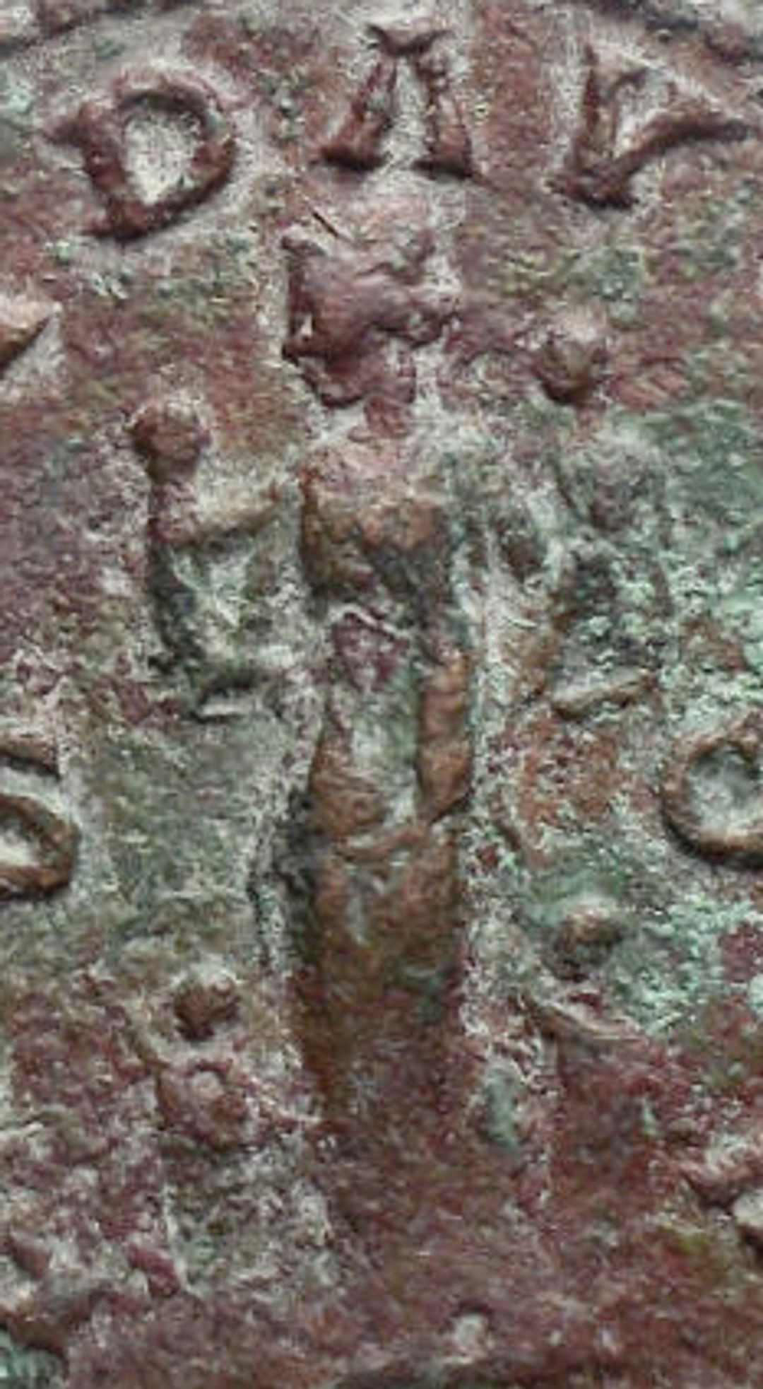 Immagine aggiuntiva 1