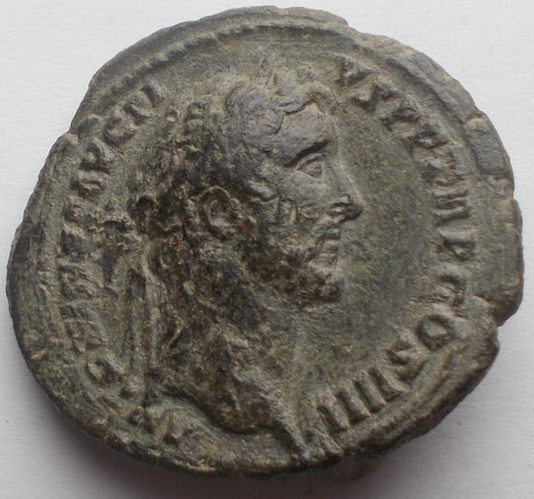 Immagine aggiuntiva 1