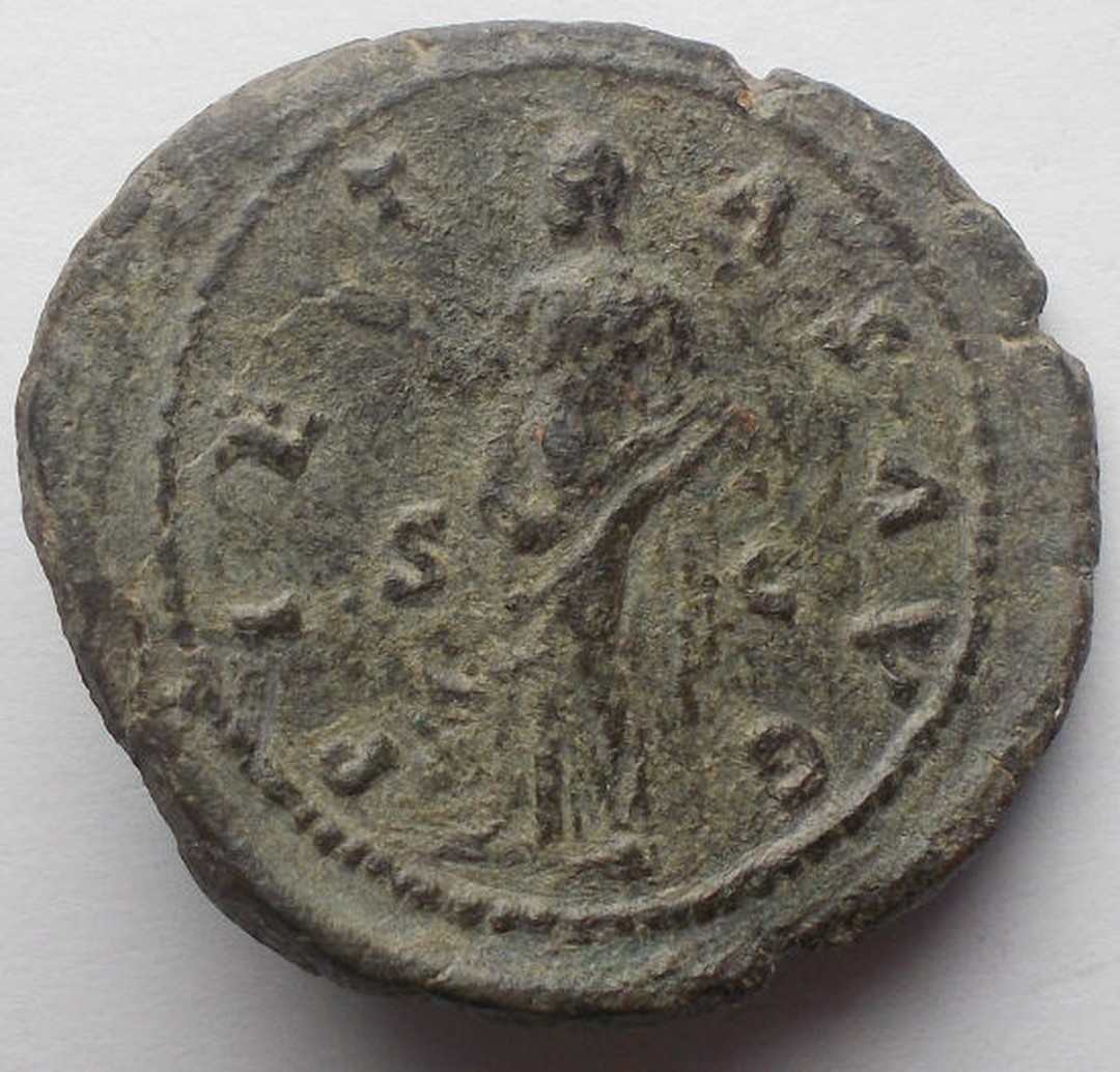 Immagine aggiuntiva 2