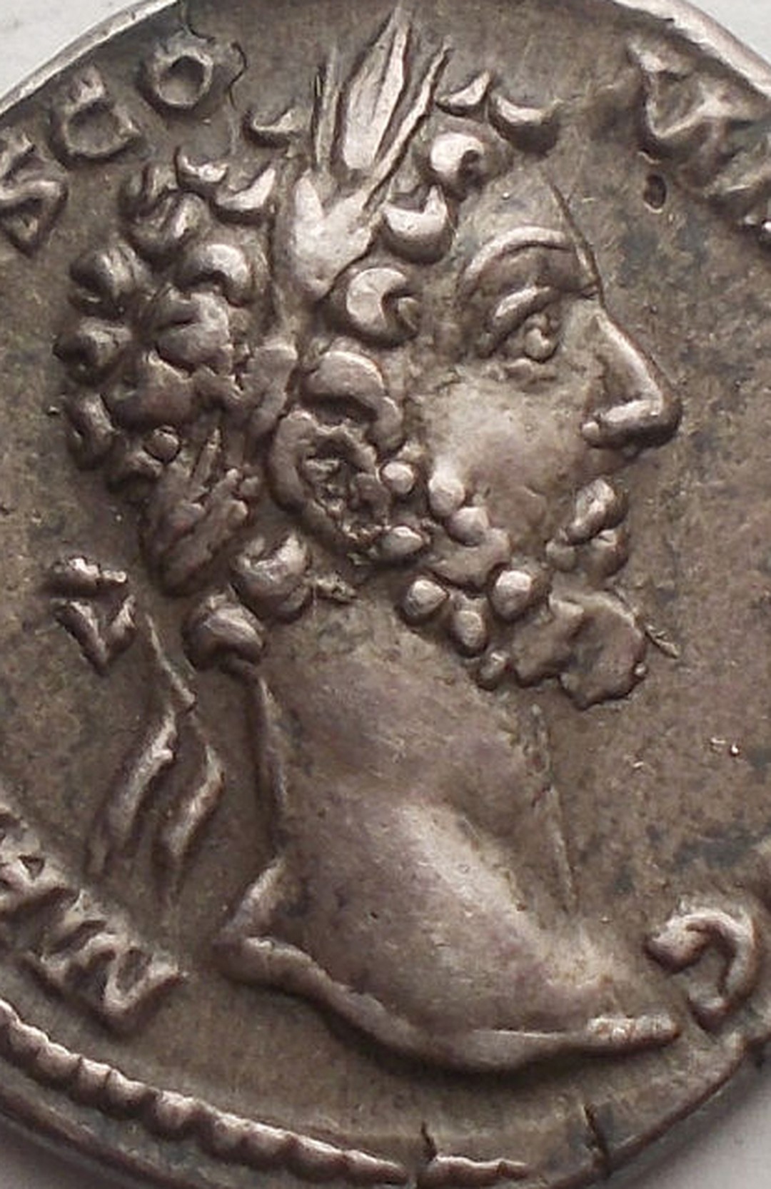 Immagine aggiuntiva 1