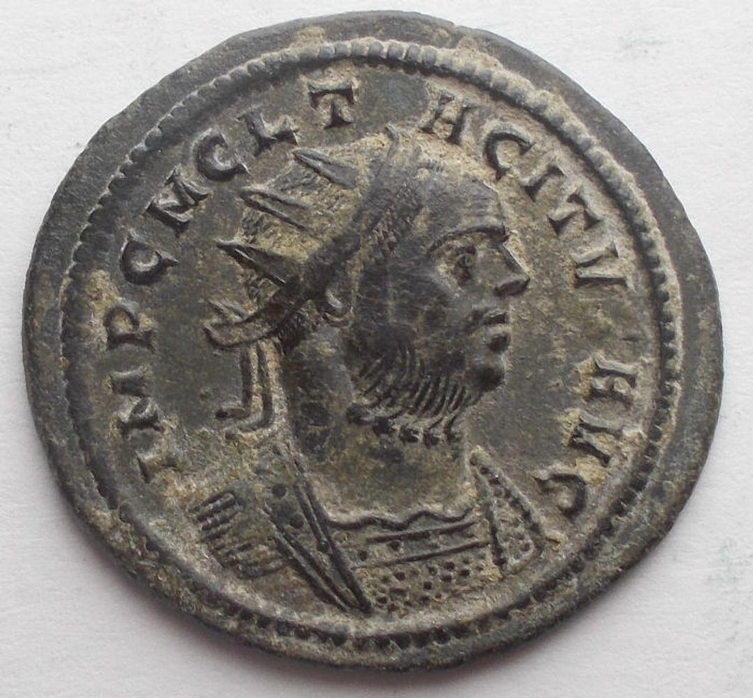 Immagine aggiuntiva 1