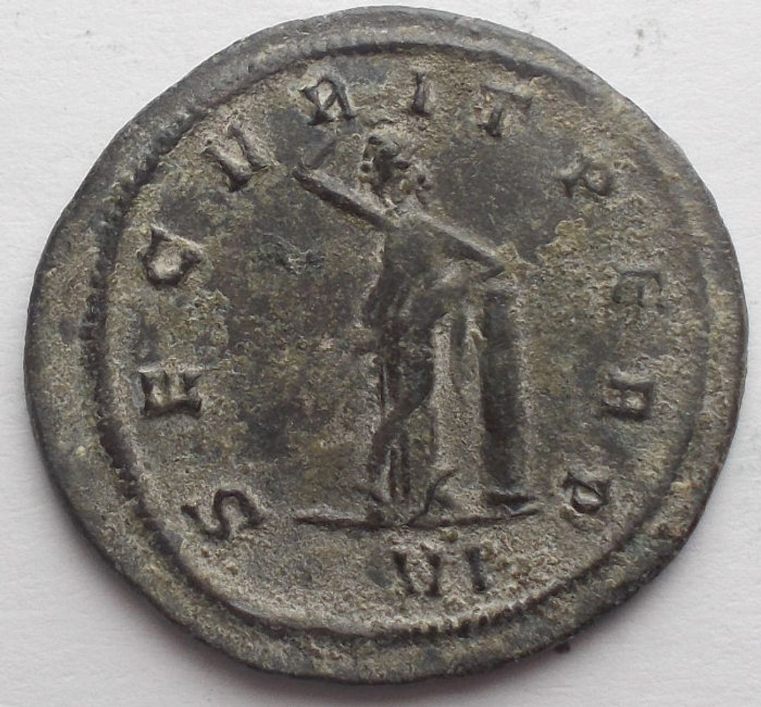 Immagine aggiuntiva 2