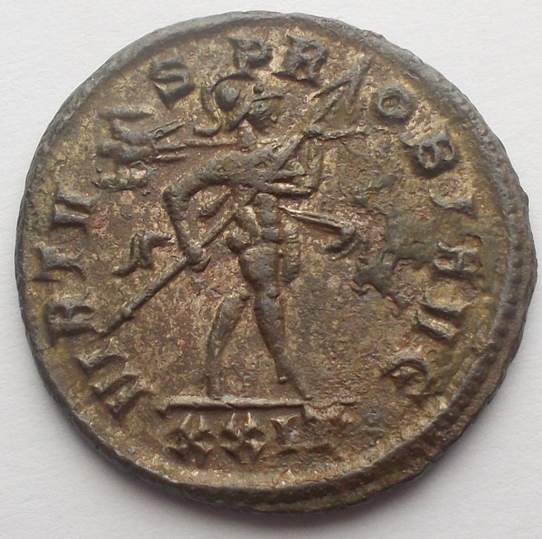 Immagine aggiuntiva 2