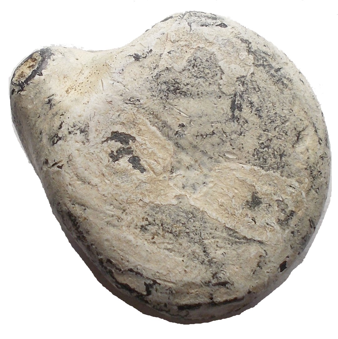 Immagine aggiuntiva 1