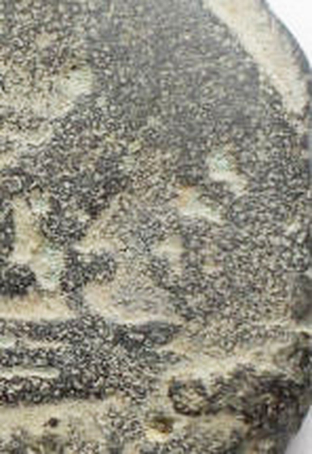 Immagine aggiuntiva 1