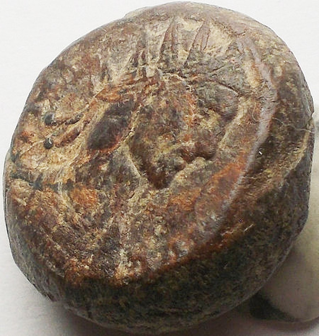 Immagine aggiuntiva 1