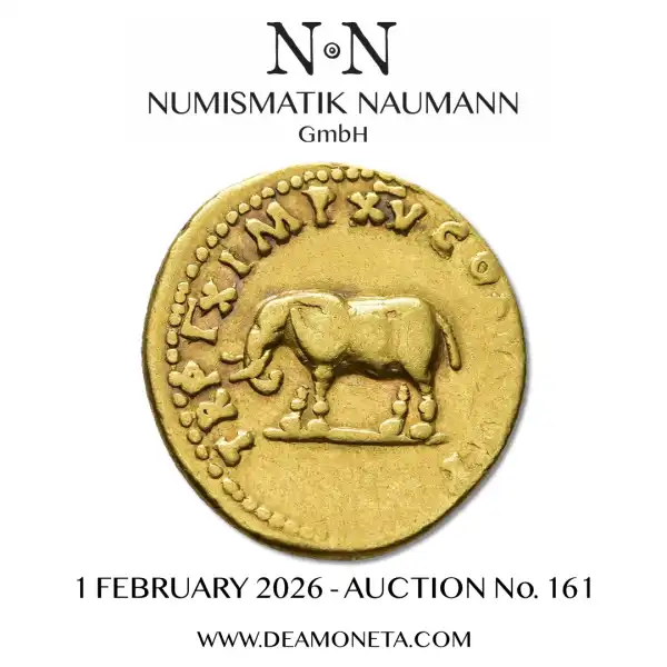 Naumann 161