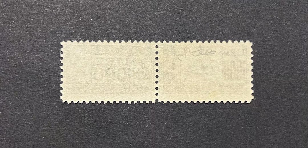 Immagine aggiuntiva 1