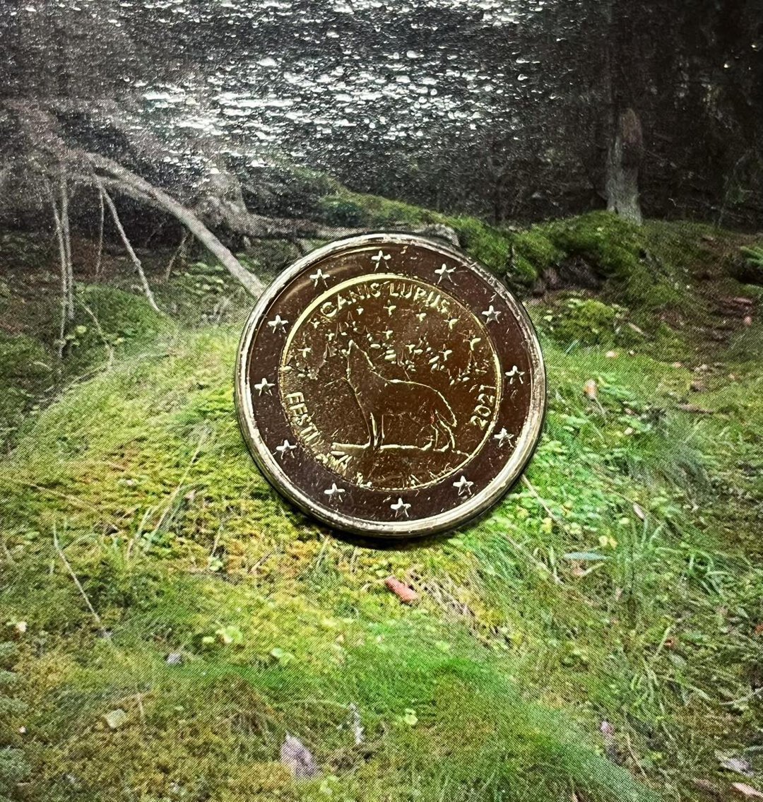 Immagine aggiuntiva 1