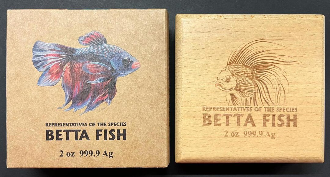 Immagine aggiuntiva 1