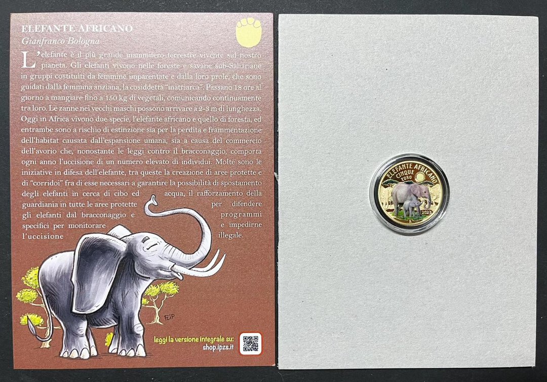 Immagine aggiuntiva 1