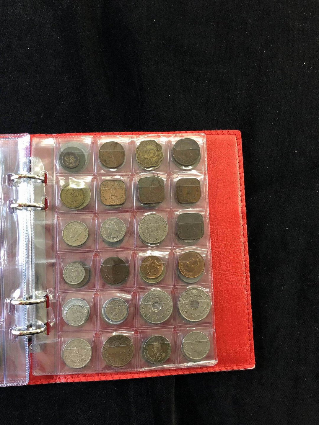 Immagine aggiuntiva 6