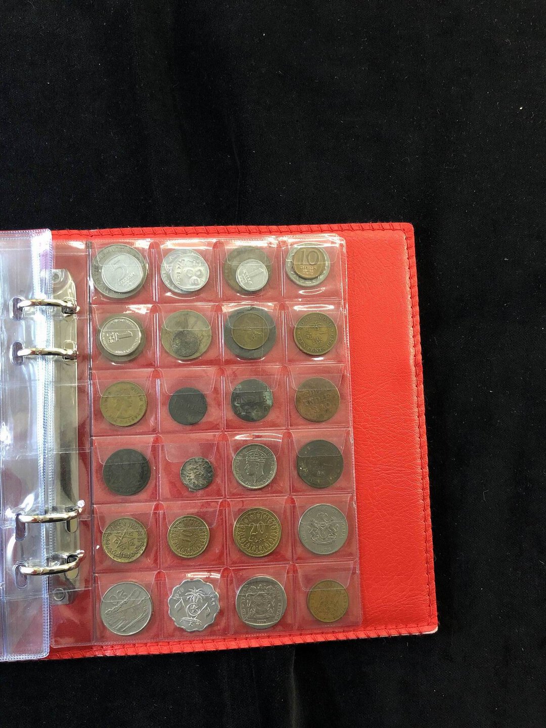 Immagine aggiuntiva 8