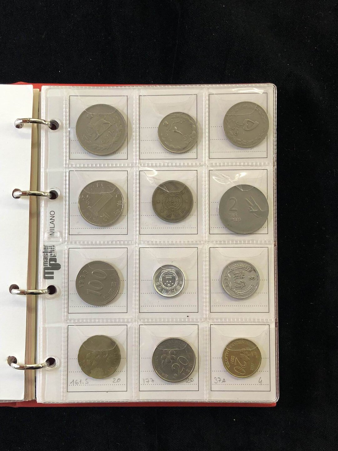 Immagine aggiuntiva 3