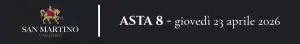 Banner San Martino Asta 8