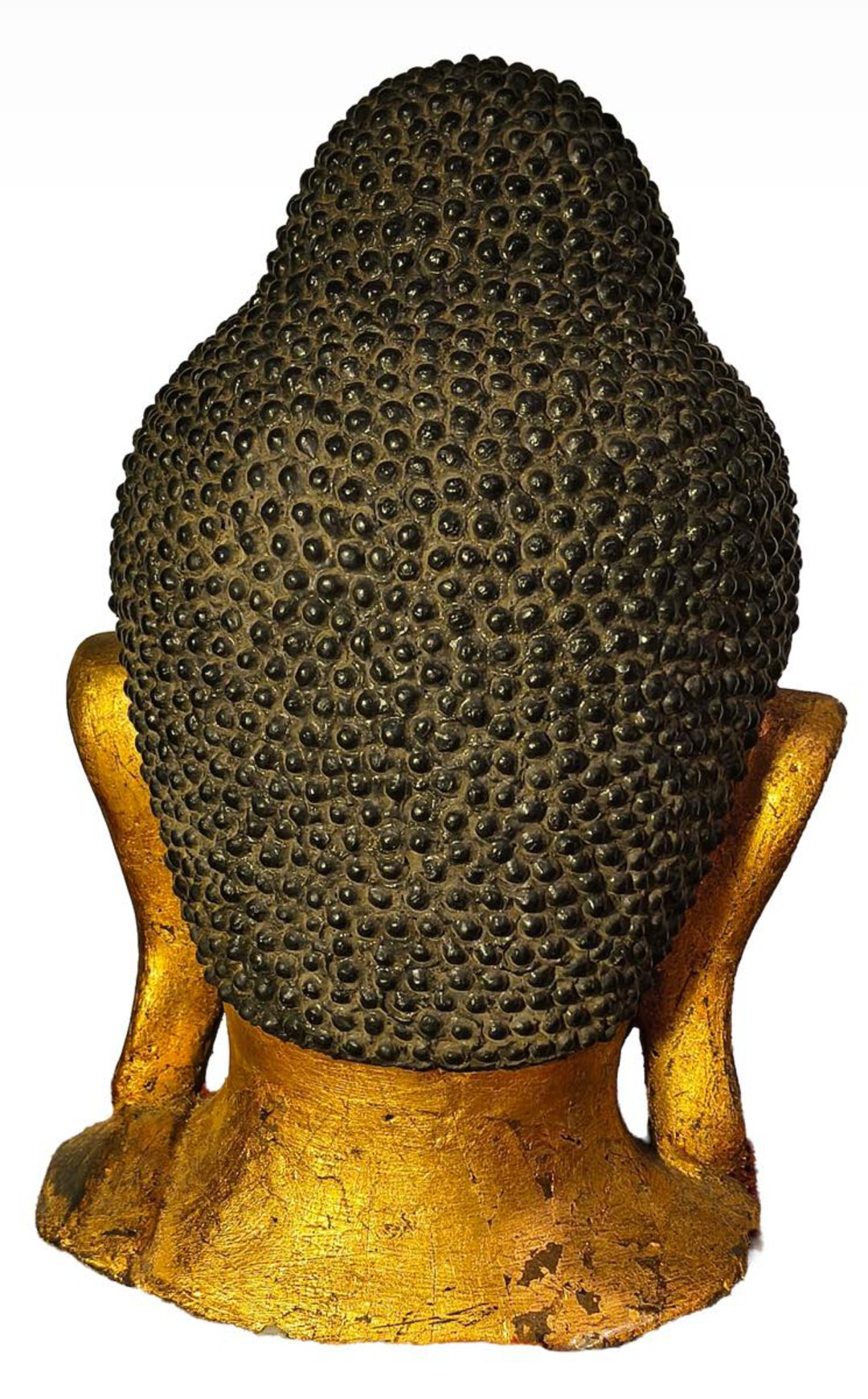 Immagine aggiuntiva 1