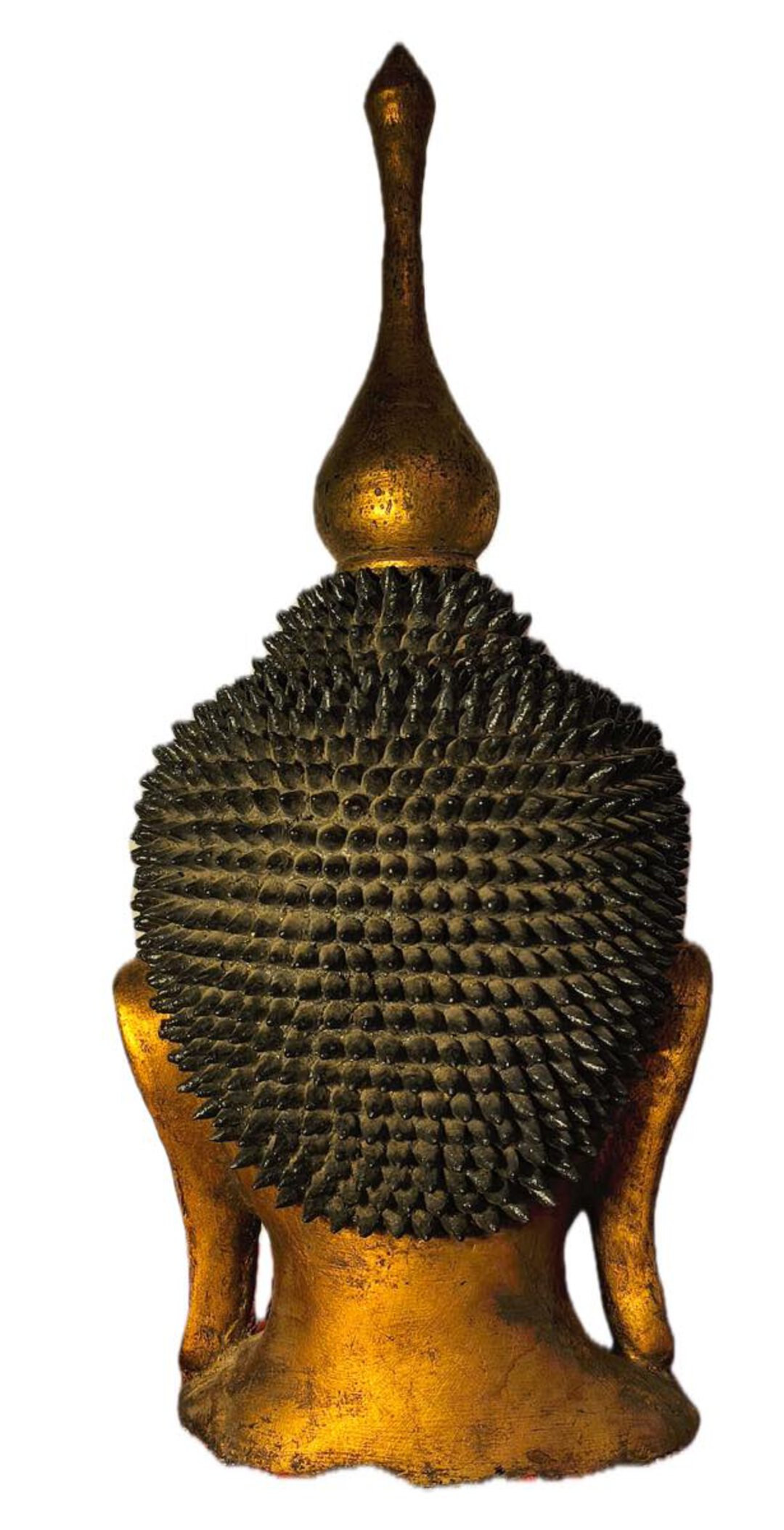 Immagine aggiuntiva 1