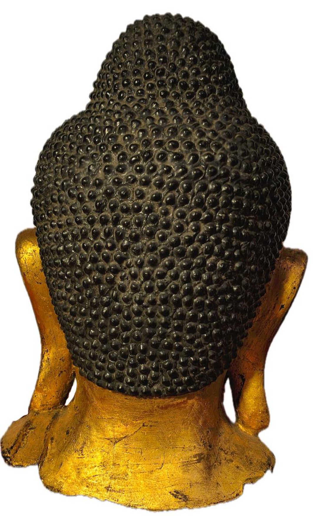 Immagine aggiuntiva 1