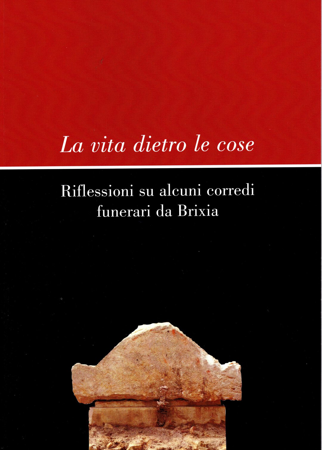 Dritto moneta