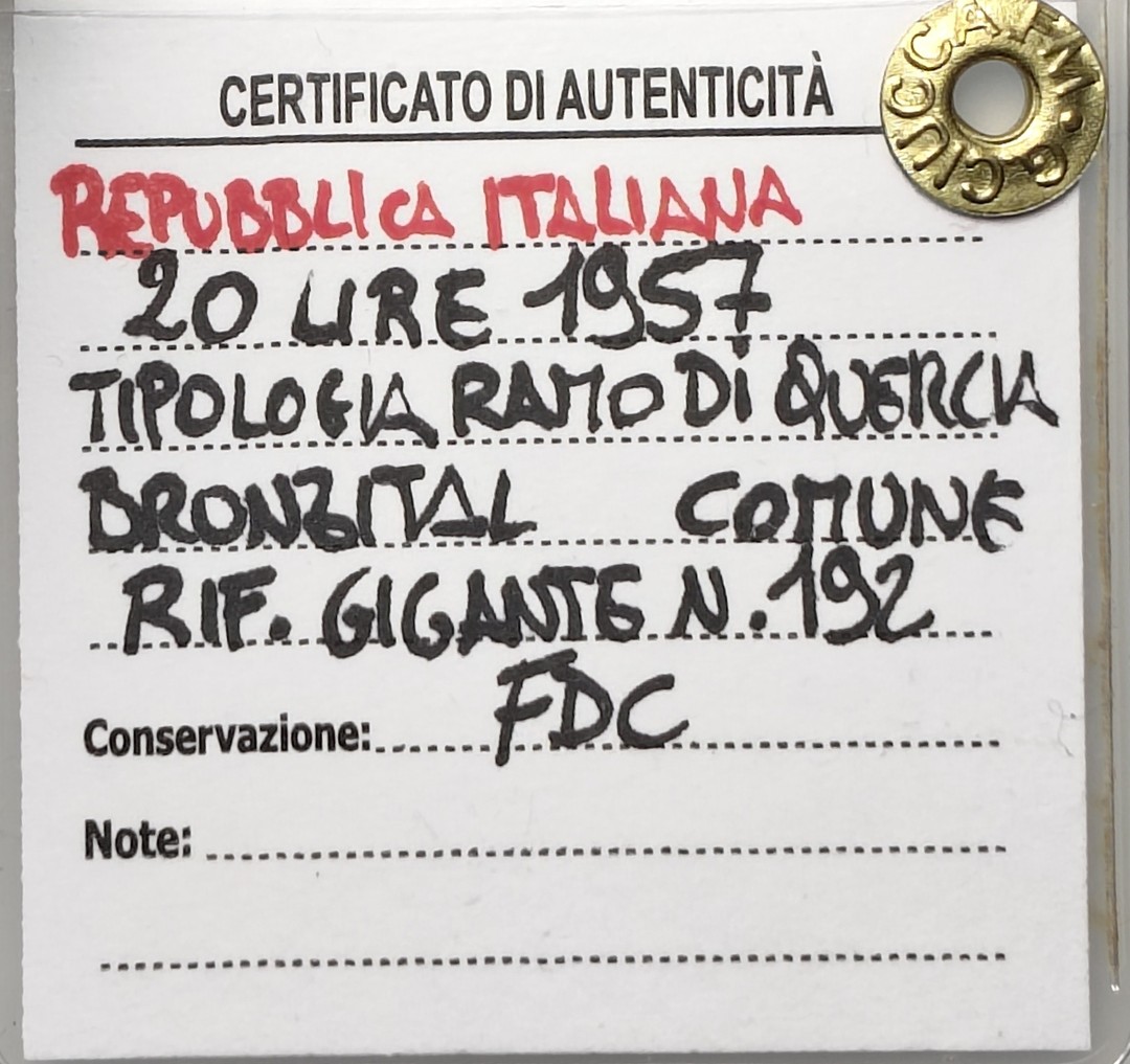 Immagine aggiuntiva 1