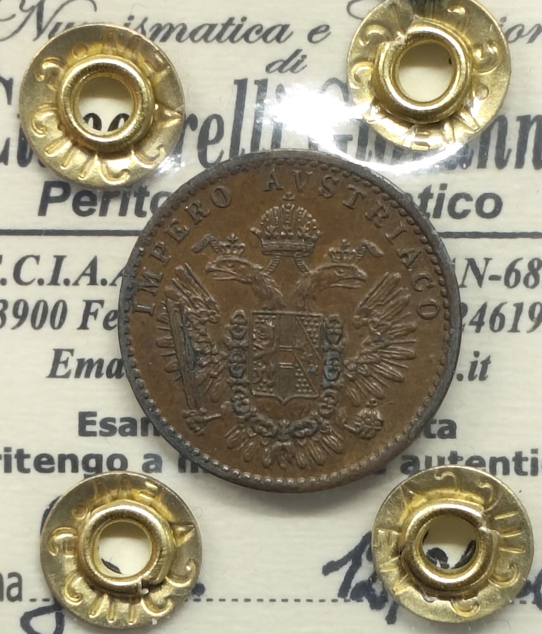 Dritto moneta