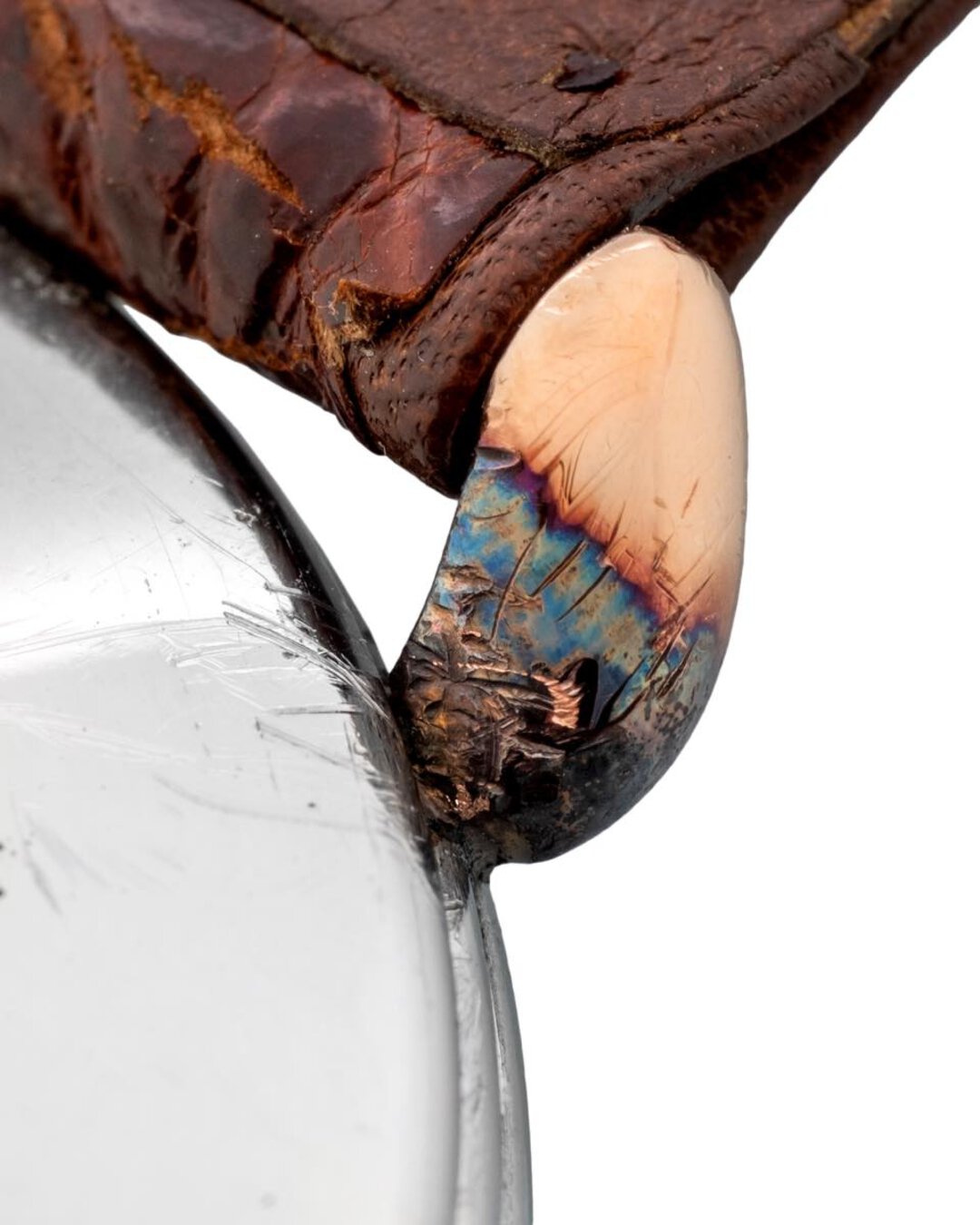 Immagine aggiuntiva 2