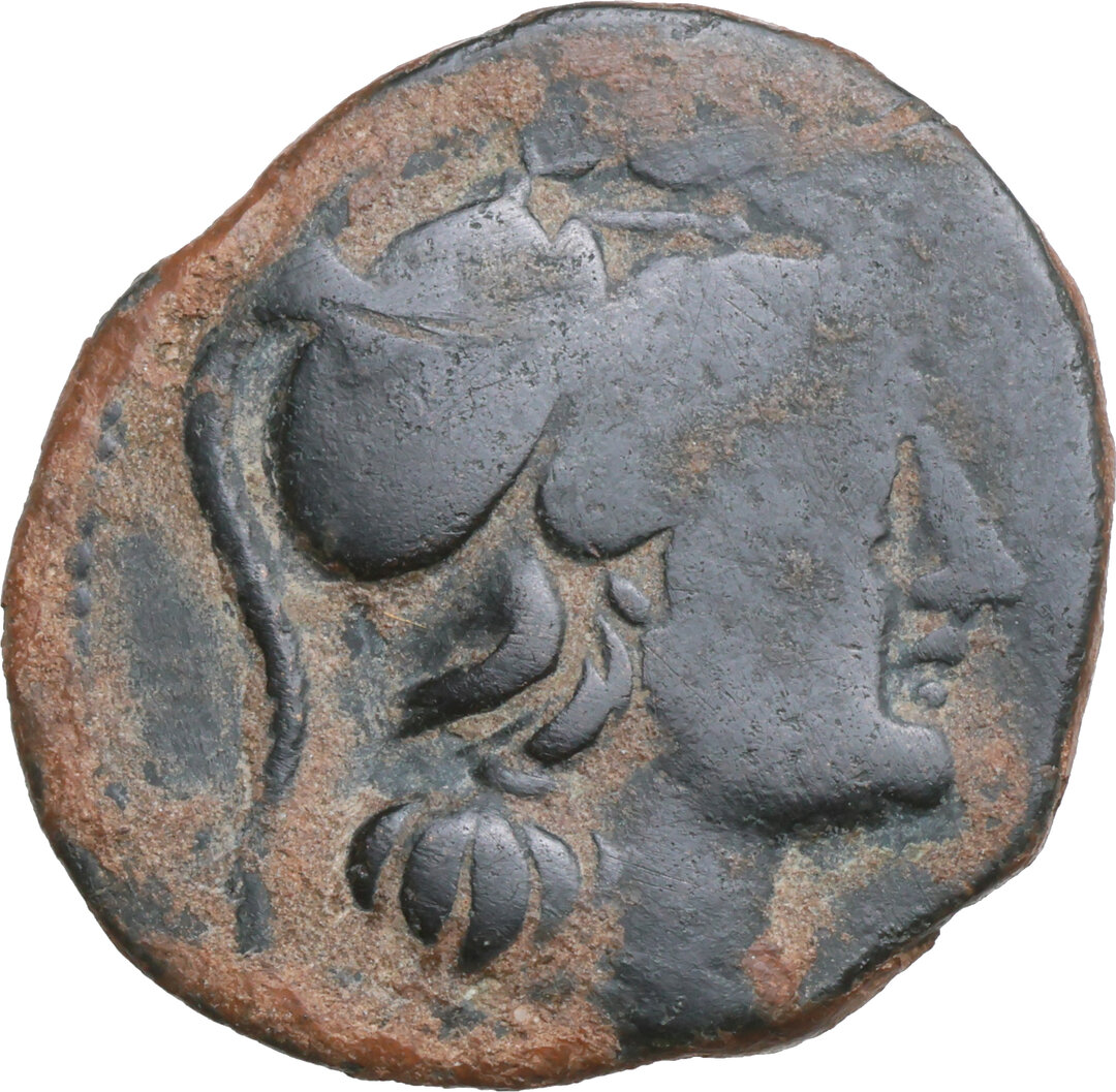 Dritto moneta
