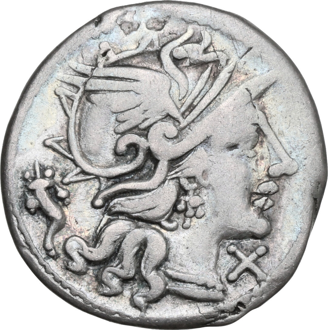 Dritto moneta