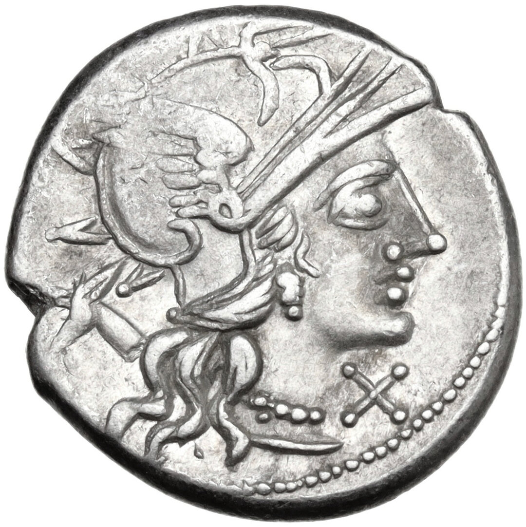 Dritto moneta
