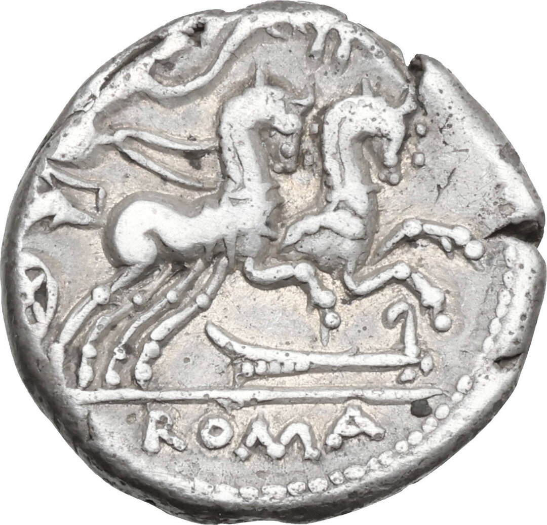Rovescio moneta